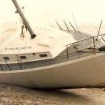 Pauline washed up on Kohimaramara Beach (Noakes Family Collection)