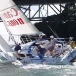 Perception is a handful in a big puff in the 2003 Stewart Championships (Charles Scoones)