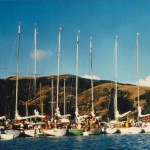 Stewart raft up, Awaawaroa Bay (Bill Miller Collection)