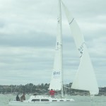 Psychic on a goosewinged run up the harbour in a 2008 rum race (George Backhus